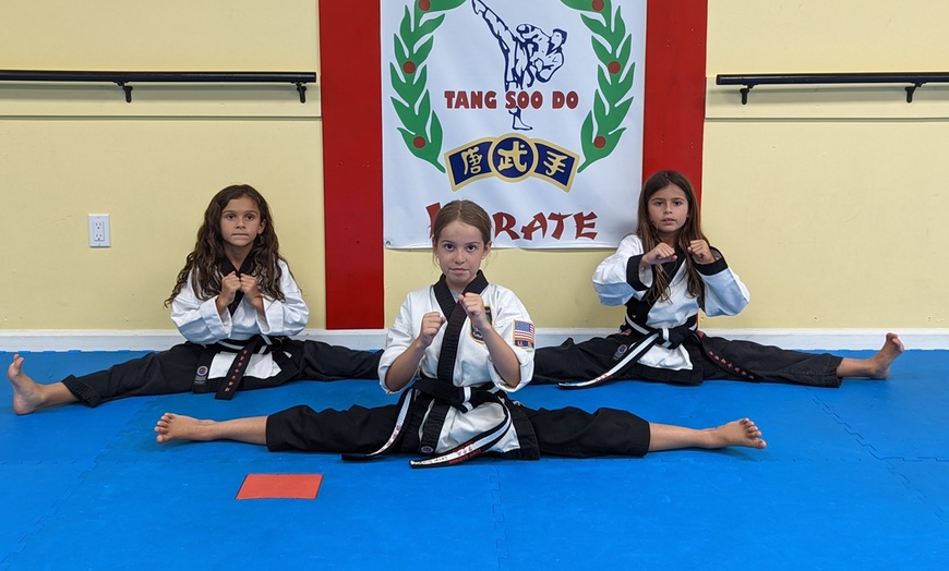 Image 4: Enjoy One Month of Martial Arts Classes at Tri-Star Karate!