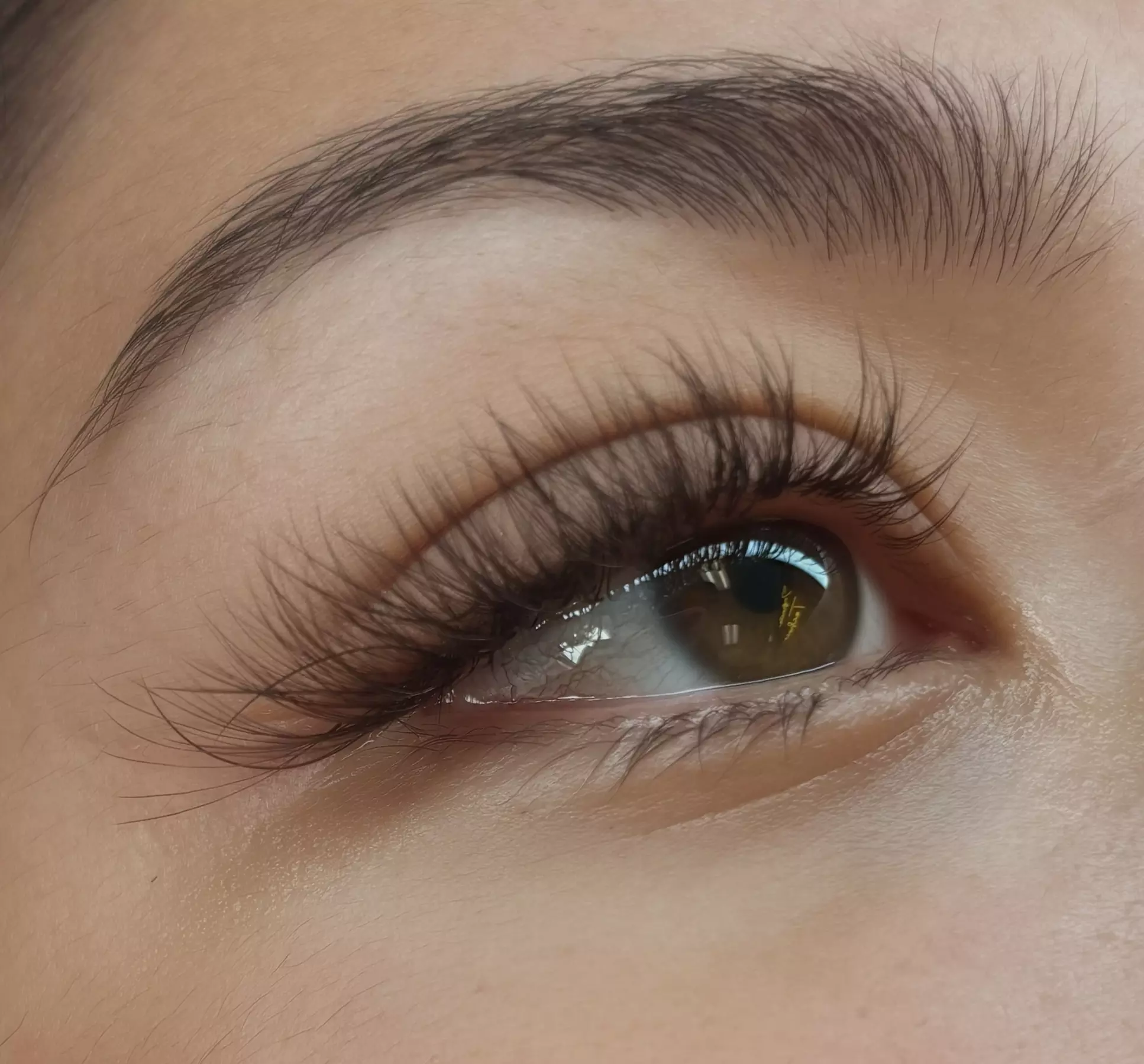 Full Set Classic, Hybrid or Volume Lash Extensions + 2-Week Fill