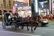 Experience NYC Fancy Rides' Iconic Spots on a Private Horse Carriage Ride (Up to 28% Off) - Second Medium