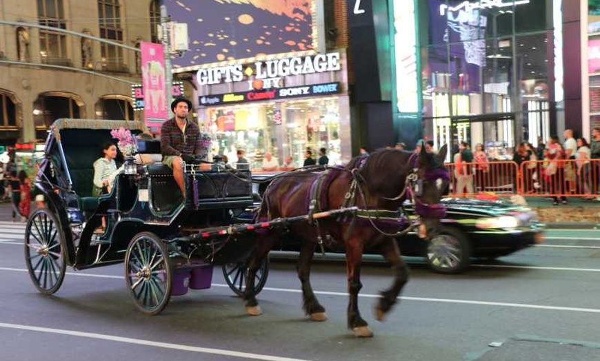 Image 2: Experience NYC's Iconic Spots on a Private Horse Carriage Ride 
