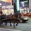 Image 2: Experience NYC's Iconic Spots on a Private Horse Carriage Ride 