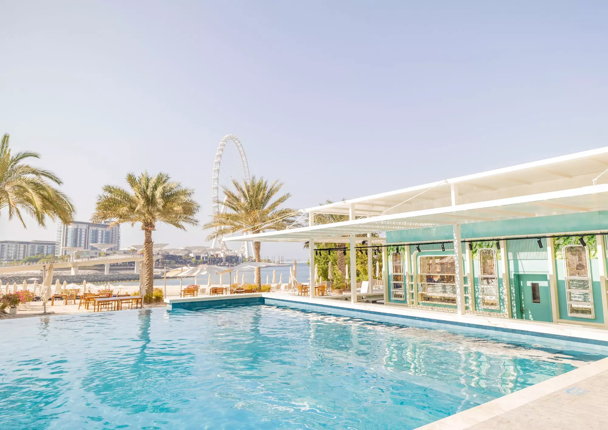 Premium 3 Course Menu +Water w/ Optional 1 Glass - Grape or Pool/Beach