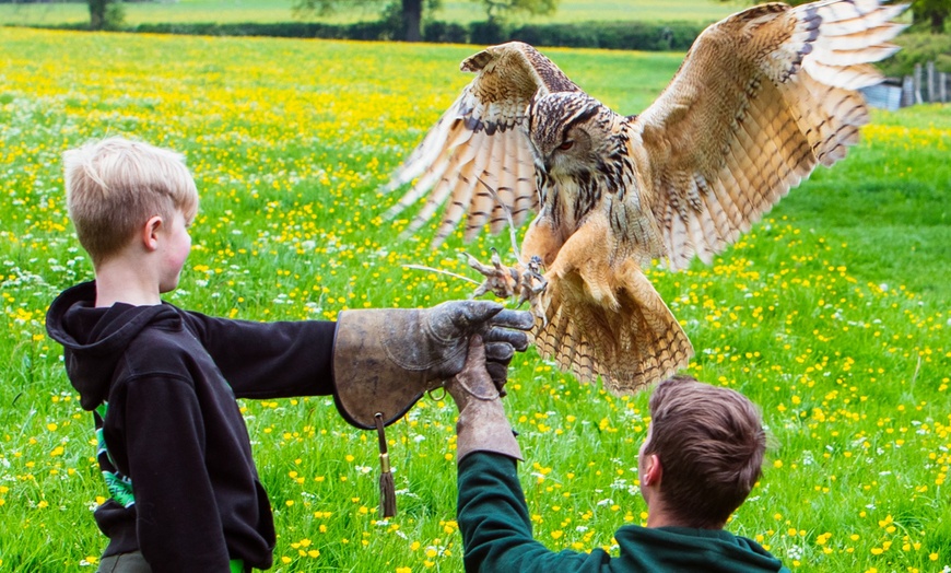 Image 3: Children's Mini Bird of Prey Session for 2 Adults or 1 or 2 Children