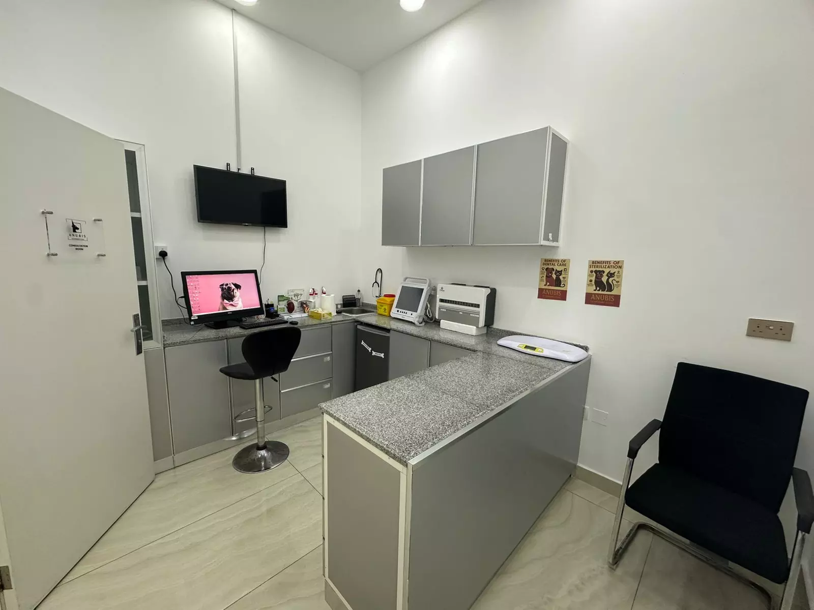 Male/Female Cat or Small Breed Dogs (up to 5 kg) Castration or Spaying