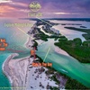 Image 3: Kayak & Paddleboard Rentals – Siesta Key Adventures
