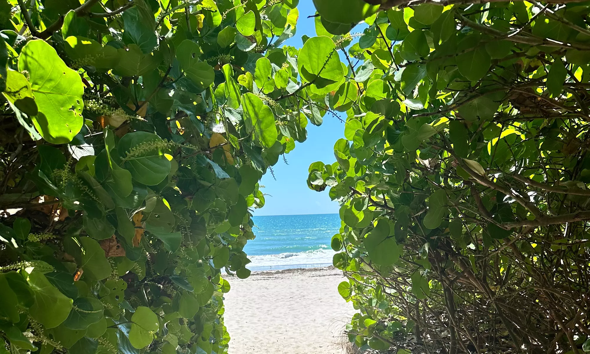 Surf Fishing with Equipment Included at Florida’s Space Coast