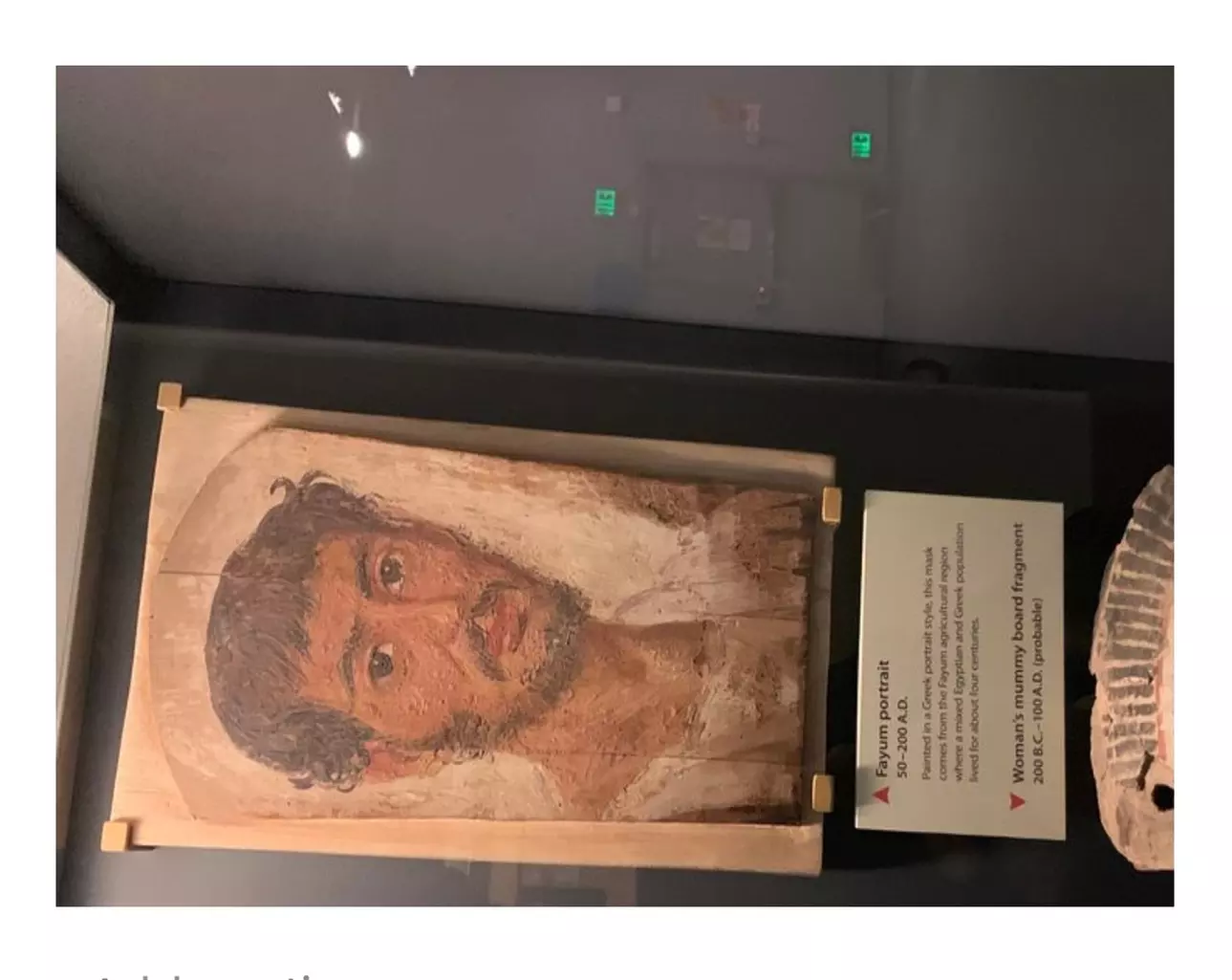 Uncover Egyptian Origins of Washington with a Private Guide