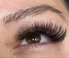 Up to 55% Off on Eyelash Extensions at Pampered Beauty