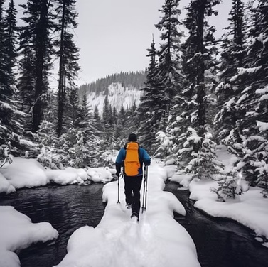 What to expect media