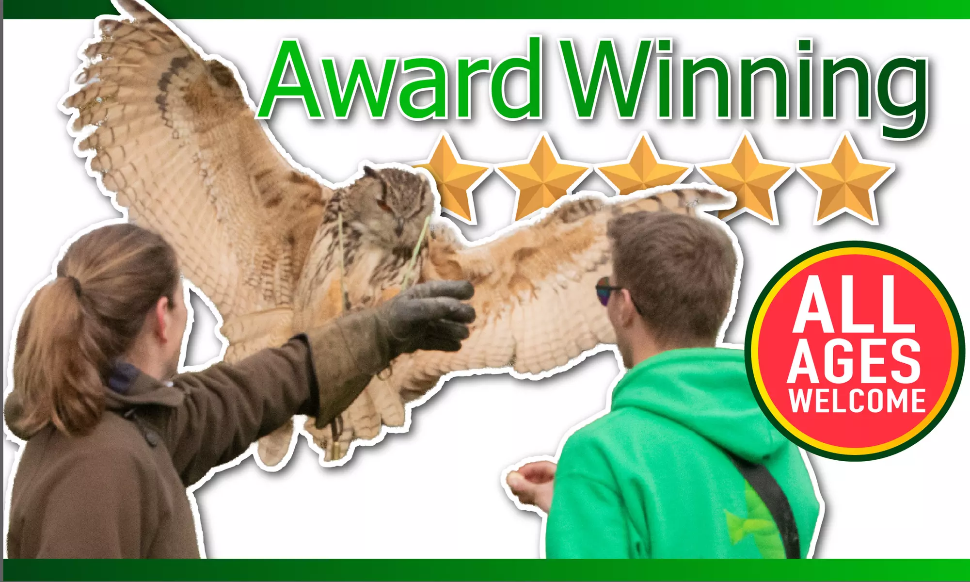 Experience the Thrill: Two-Hour Birds of Prey Adventure for 1, 2, or 4