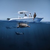 Image 10: Up to 45% Off on Snorkeling at Hawaii Apex Charters