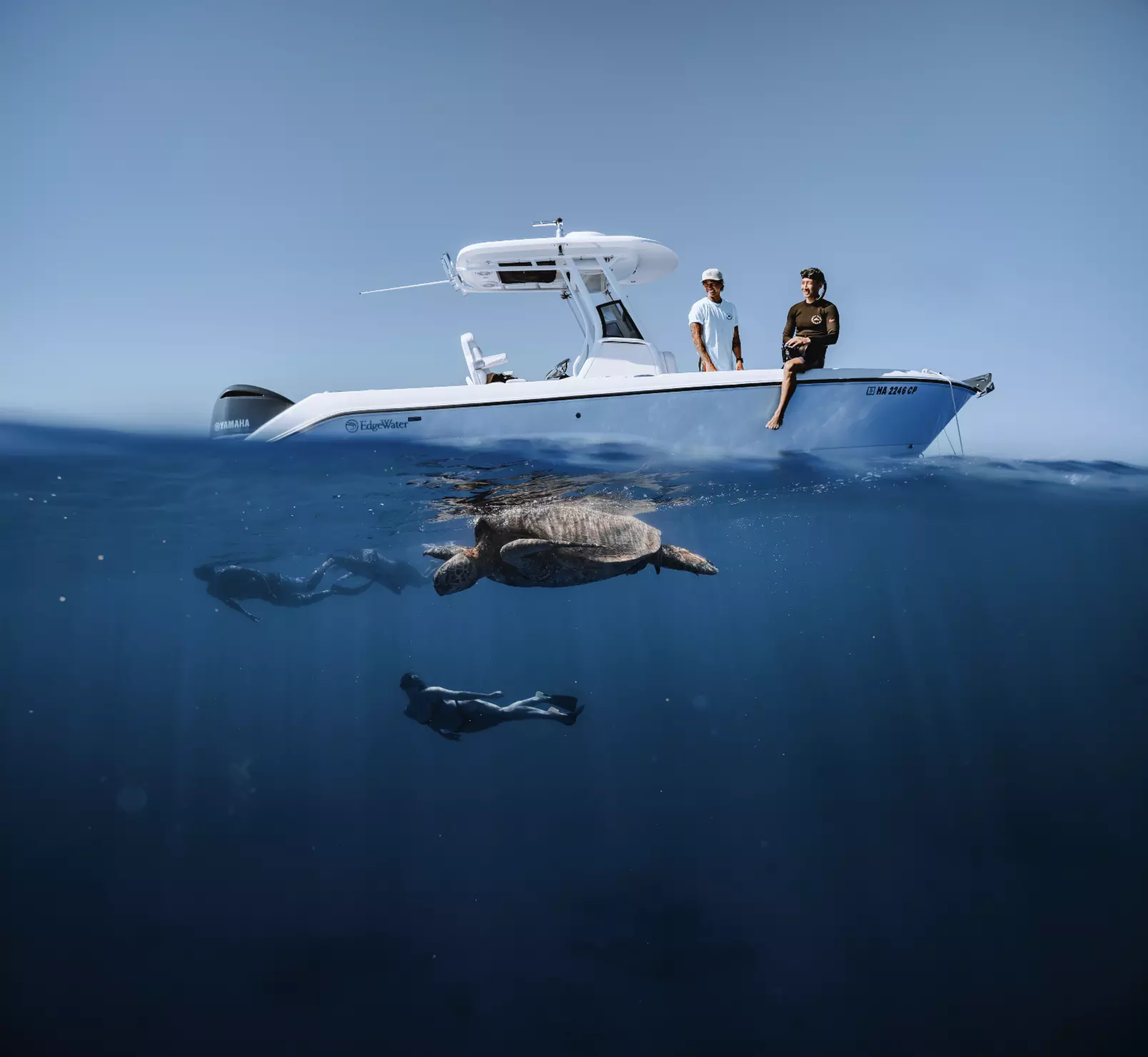 Up to 50% Off on Snorkeling at Hawaii Apex Charters