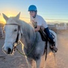 Image 3: Up to 20% Off on Horse Back Riding - Training at Elkhorn Ranch llc