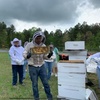 Image 1: Enjoy Hive Tour, Farm Immersion, and Vineyard Walk