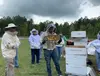 Discover Hive Tour, Farm Immersion, and Vineyard Walk at Honey Strong Bee Store & Bee Supply - Up to 64% Off