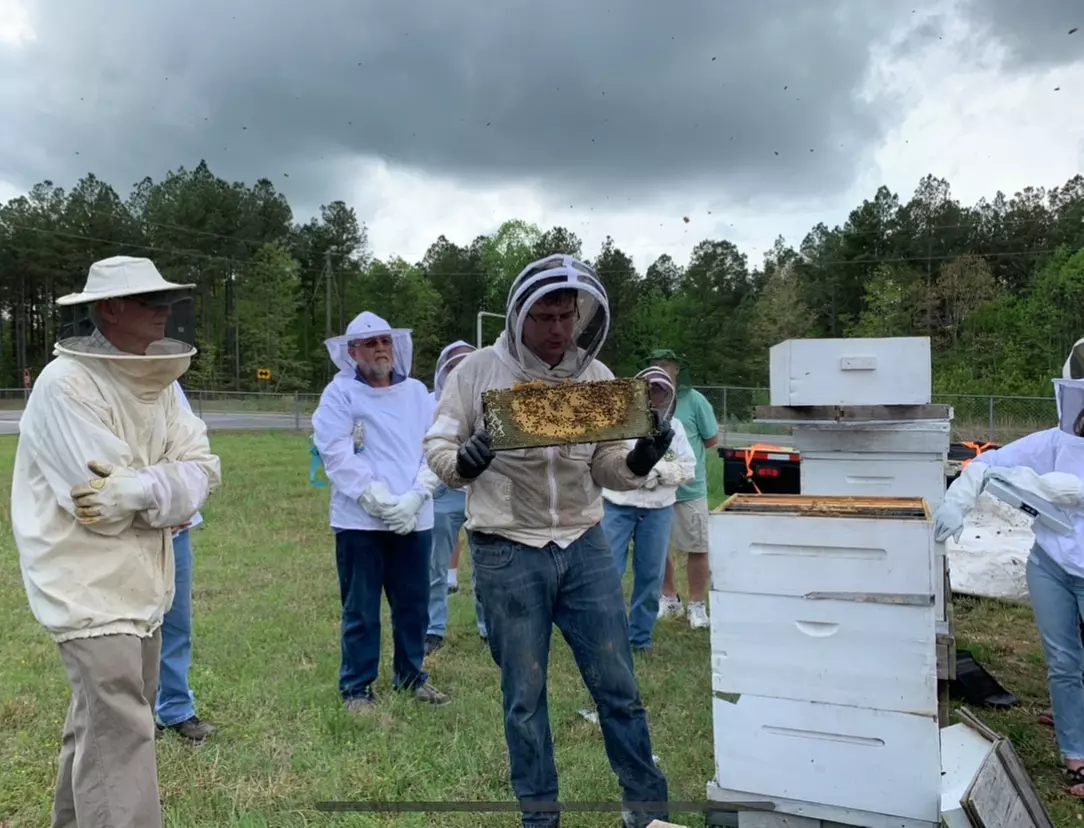 Discover Hive Tour, Farm Immersion, and Vineyard Walk at Honey Strong Bee Store & Bee Supply - Up to 64% Off - Primary Image