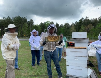 Pasture & Vineyard Walk - per person - 1 hour - Honey Strong Bee Store and Bee Supply