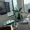 Image 2: Three or Five-Hour Apartment or House Cleaning