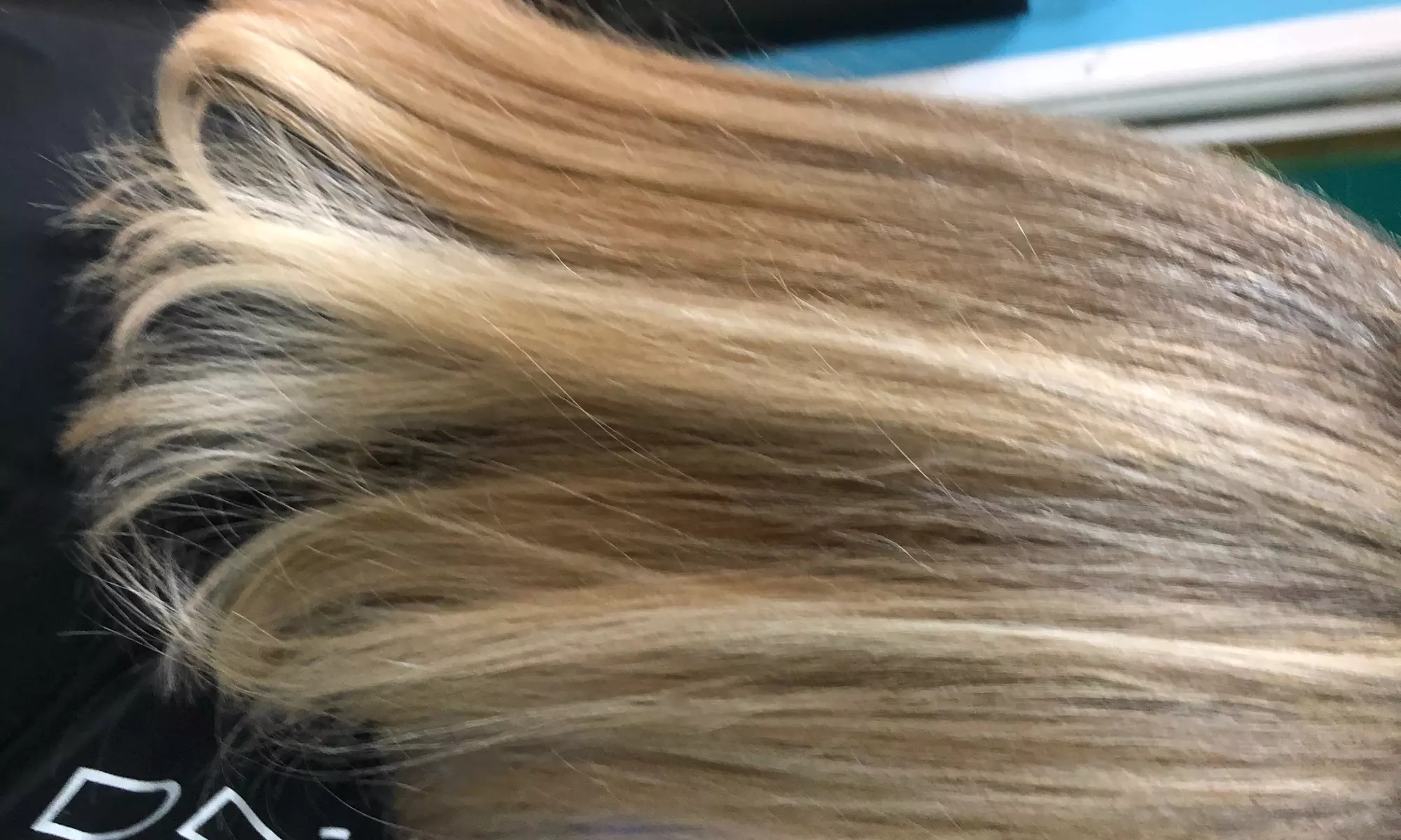 Get a Fresh New Look with Color, Haircut, and more!