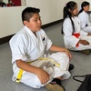 Image 1: Empower Your Child with One or Two Months of Kids Martial Arts Classes