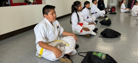 Unlimited karate classes for 2 weeks at a professional school  - Karate Five Star Alliance Studios