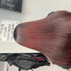 Image 5: Choice of Hair Salon Beauty Package for Stylish Transformation