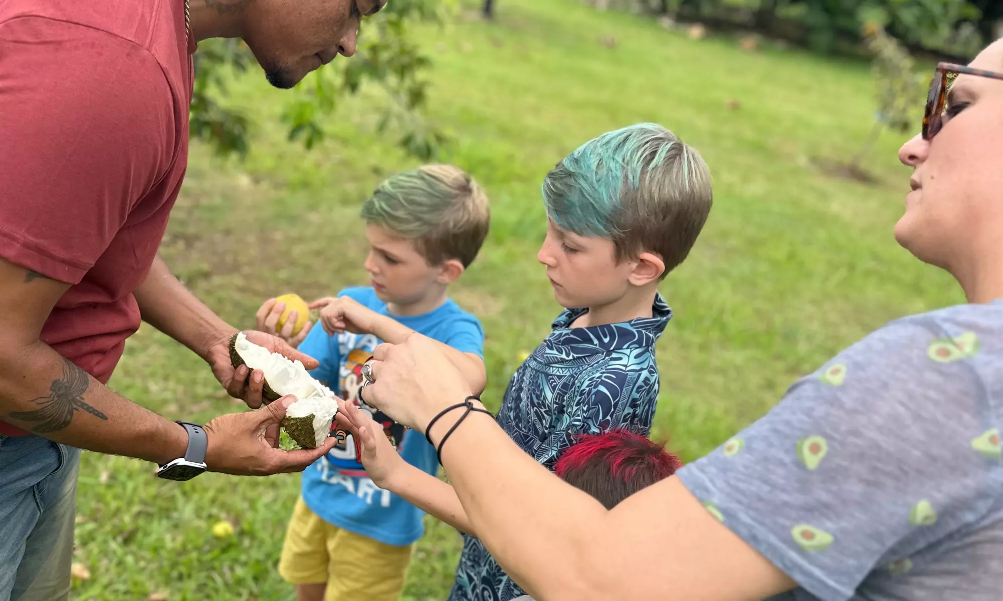 90-Minutes Sensory Farm Tour at Koili Point ES in Papaikou, HI