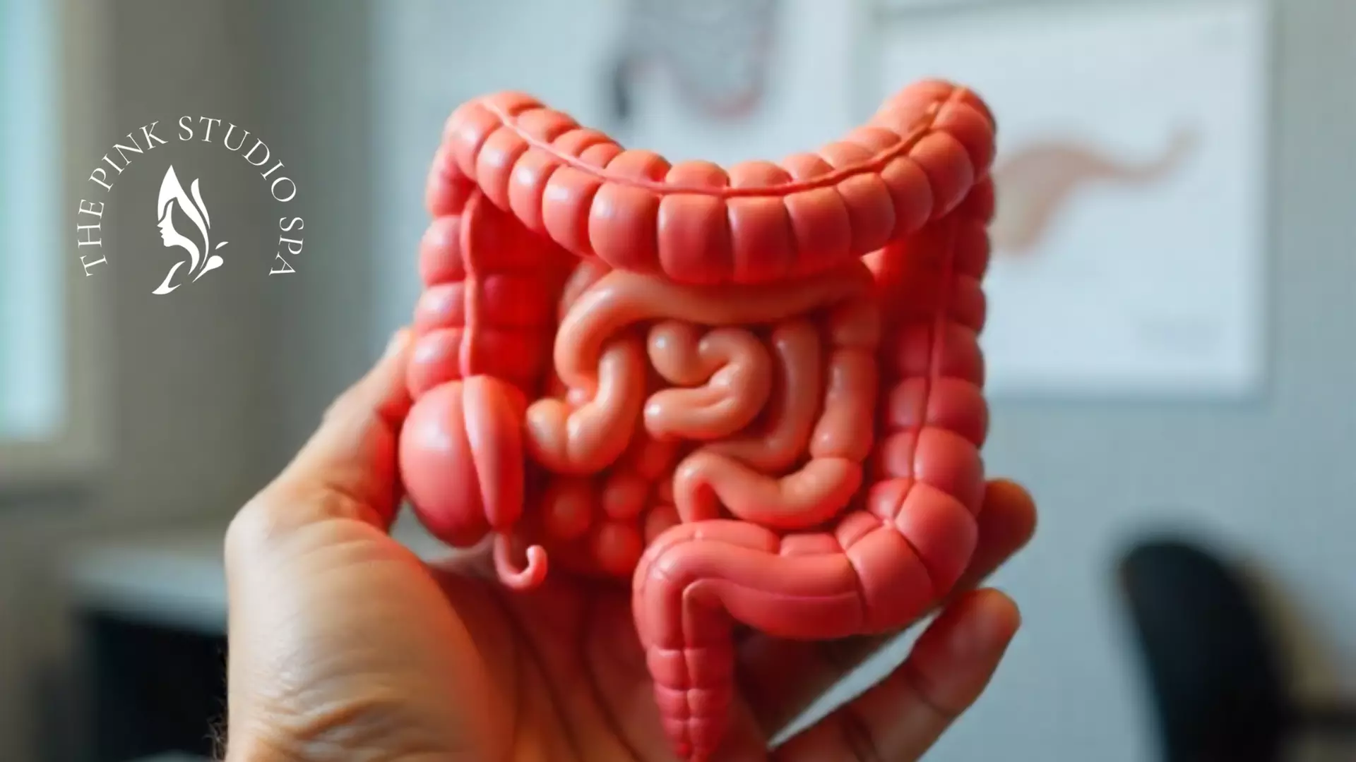 Discover One Colonic, or Three colon Hydrotherapy with Release Massage