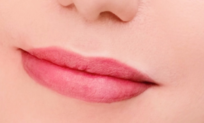 Image 10: Ombre Powder Brows or Lip Blushing Session