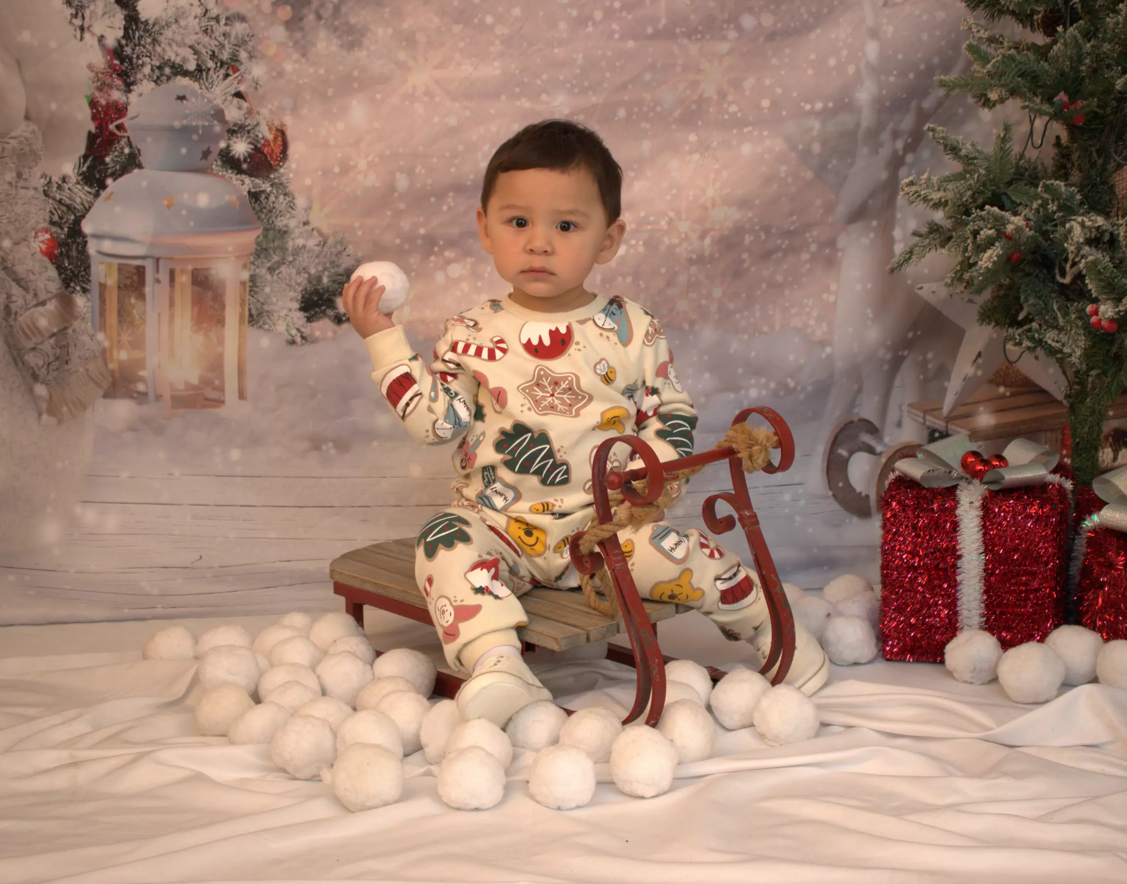 Holiday Family and Photo Sessions with Digital Images