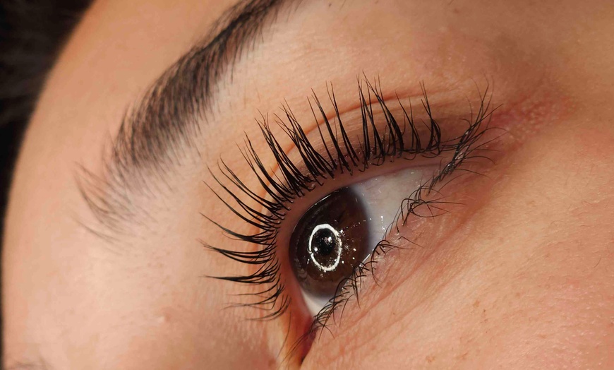 Image 1: One Eyelash Lift w/ or w/o Tint, Classic Full Set or Combo Package at Aeloria Lash Co (Up to 50% Off)