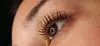 One Eyelash Lift w/ or w/o Tint, Classic Full Set or Combo Package at Aeloria Lash Co (Up to 50% Off)