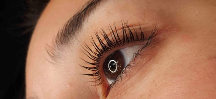 One Eyelash Tinting and Lift Treatment - Aeloria Lash Co