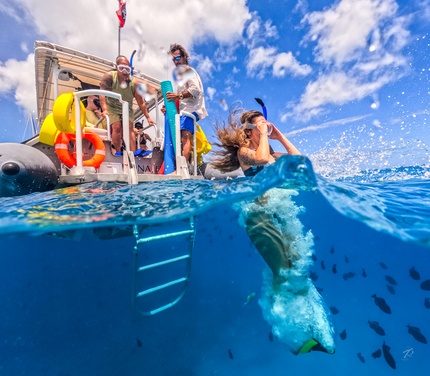 What to expect media