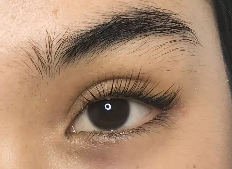 Up to 60% Off on Eyelash Tinting at V Lash Studio - Second Medium