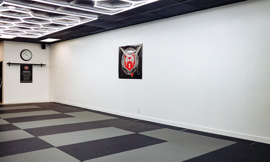 Image 4: Enroll in One Month of Unlimited Classes for Youth or Adults