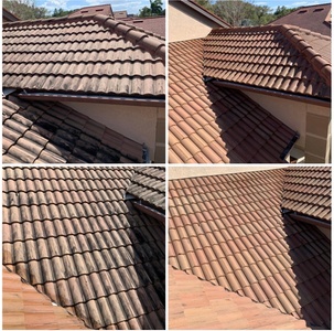 Exterior Two Car Driveway and Sidewalk Power Washing - Jons Pressure Washing Tampa Bay LLC