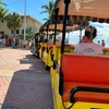 Image 7: Key West Bus Tour Deals & Up to 37% Off Discount