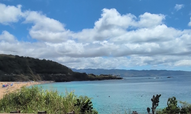 What to expect media