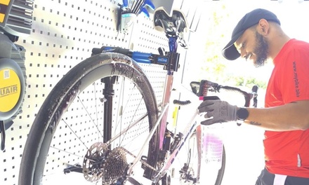 Revisión - puesta a punto premium - Mybike Mobile