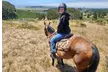 Horse Back Riding Lessons for 1-4 People w/ Expert Guide in Moss Beach, CA - Up to 36% Off - Second Medium