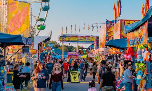 What to expect media