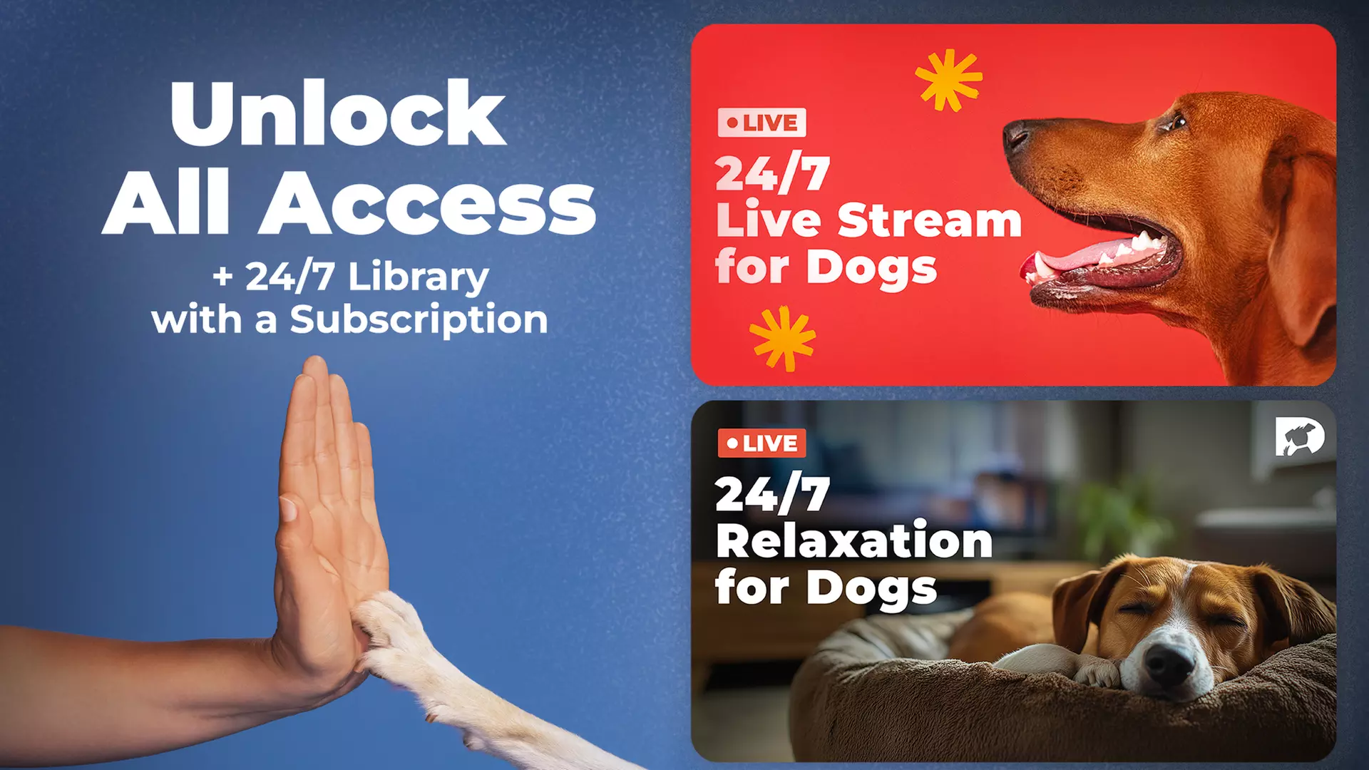 Stream DOGTV for a Year or Enjoy a Free Month