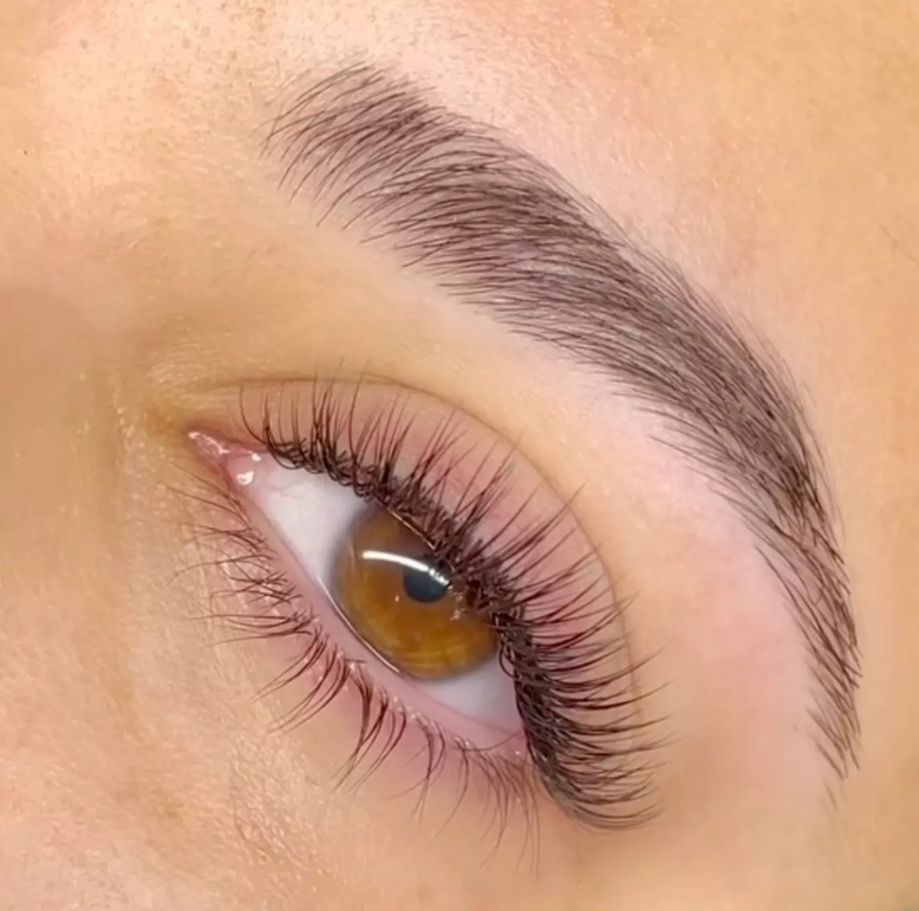 Experience BaliBrows' Full Set of Classic Eyelash Extensions with optional 2-Week Fill (Up to 55% Off) - Primary Image