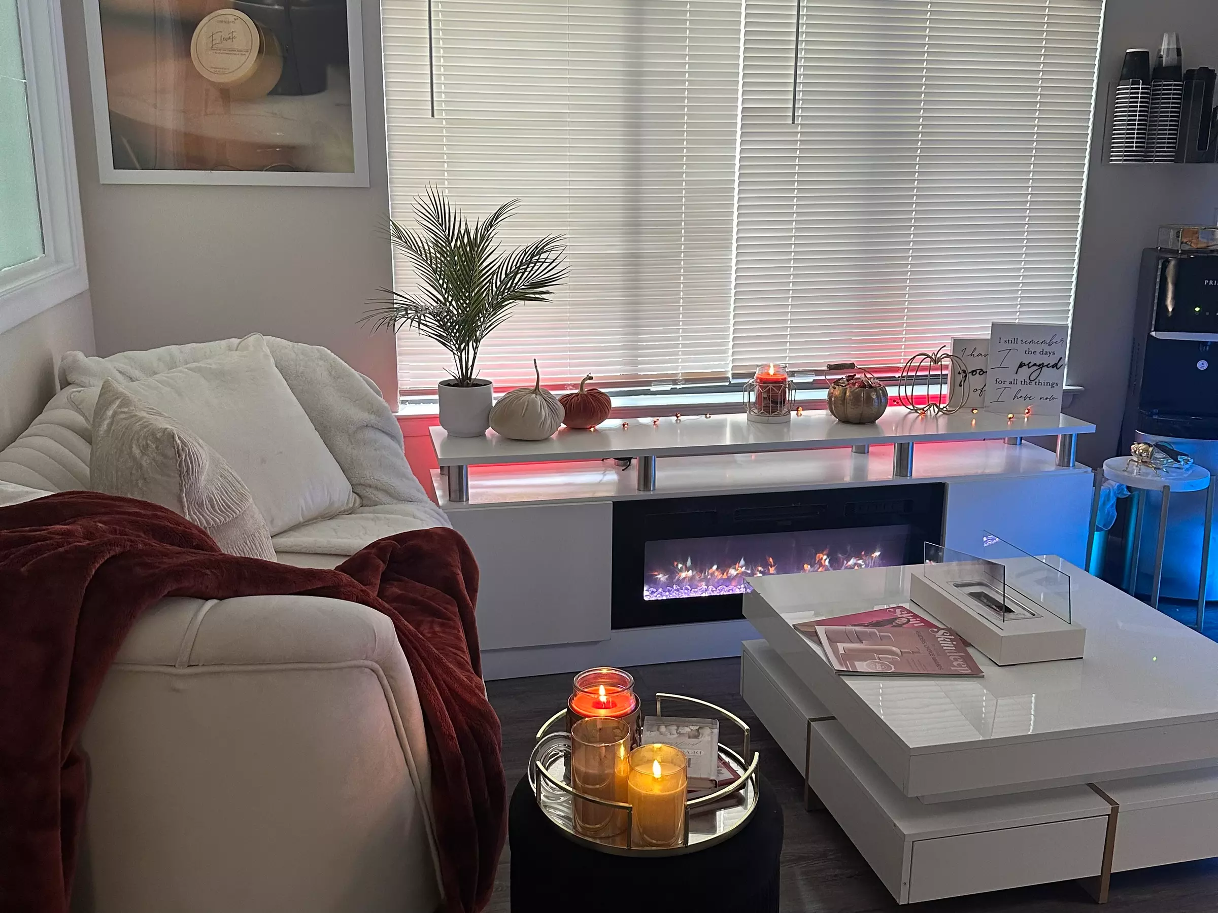 Transform Your Look: One or Three Eyebrow Waxing and Tinting Sessions