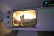 Up to 37% Off on Hyperbaric Chamber at NIRStudio - Second Medium