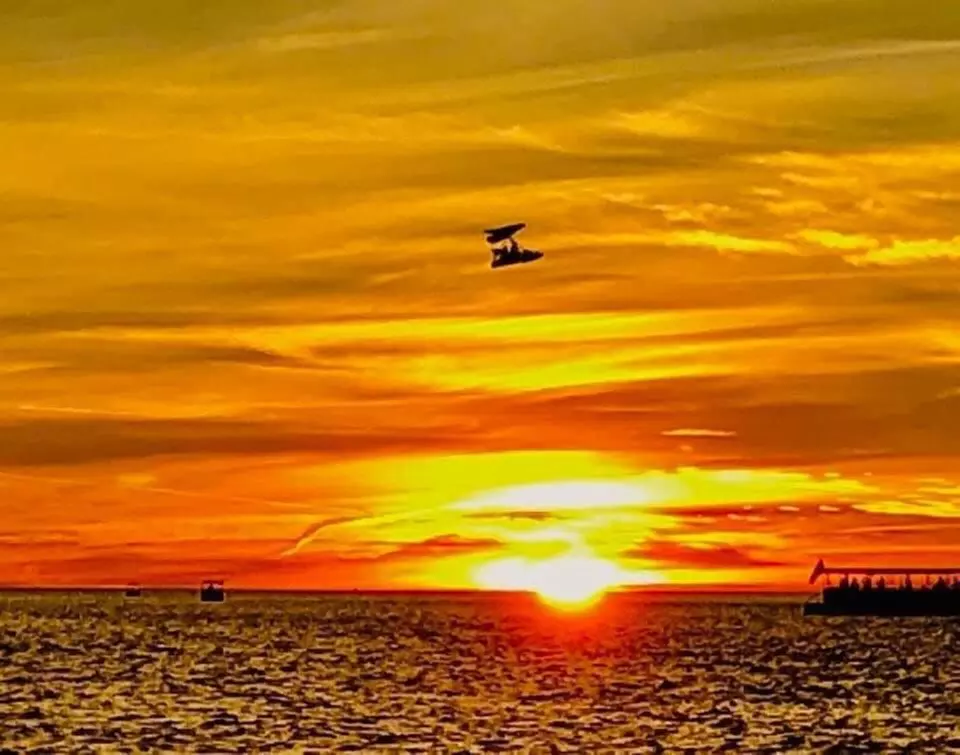 Up to 21% Off on Dolphin Watching at Sweet Sunsets & Dolphin Tours - Second Medium