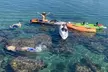 Kayak and Snorkel with Sea Lions in Calm, Beautiful Harbor (Snorkeling Optional) with Naked and Afraid's Gary Golding  - Second Medium