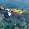 Image 2: 3 Hour Guided Kayak and Snorkel Tour for One, Two, Four, Six or Eight