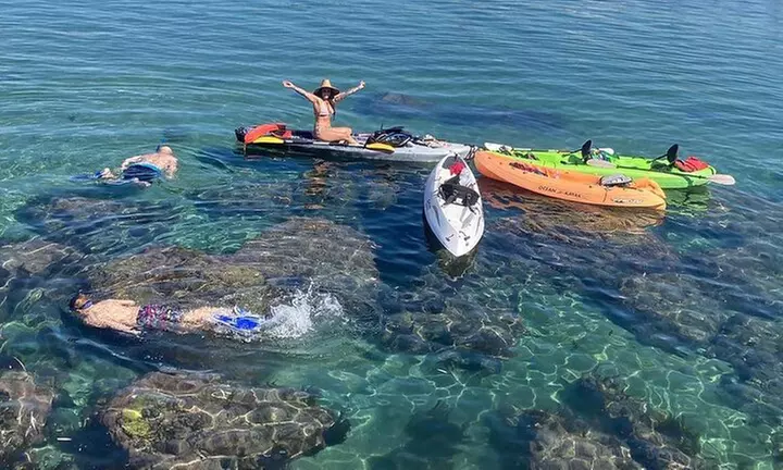 What to expect media